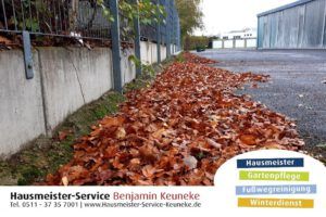 Laub, Laubfegen, Herbstlaub, Laubbeseitigung in Hannover